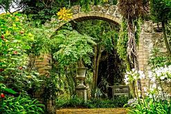 Botanische tuin